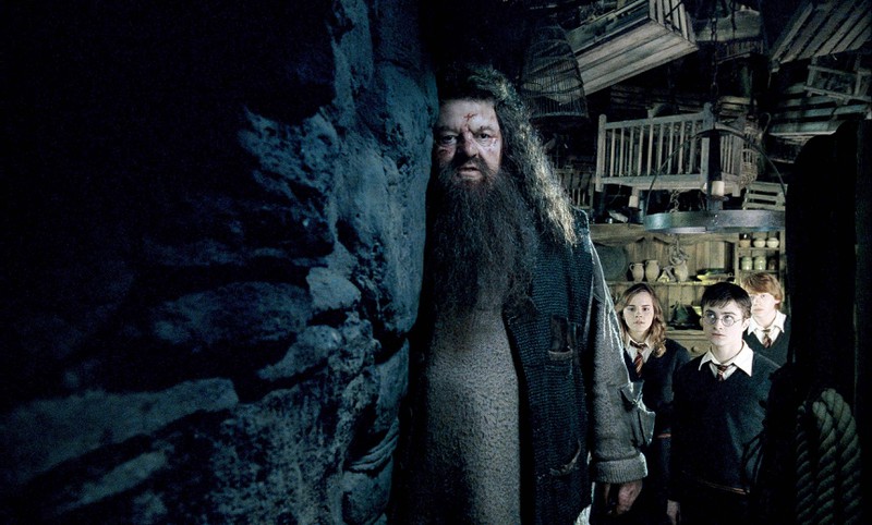 Wie konnte Hagrid überhaupt entstehen?
