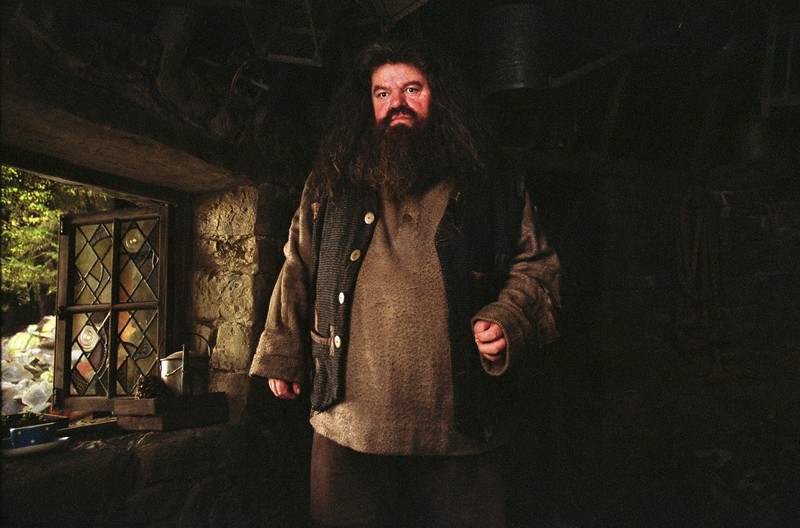 Hagrid ist der absolute Fan-Liebling.