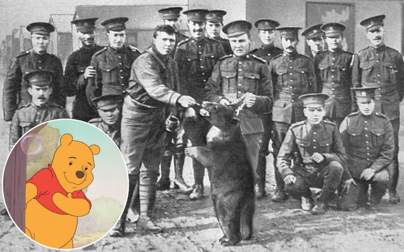 Winnie Pooh ist heute eine richtige Kultfigur.
