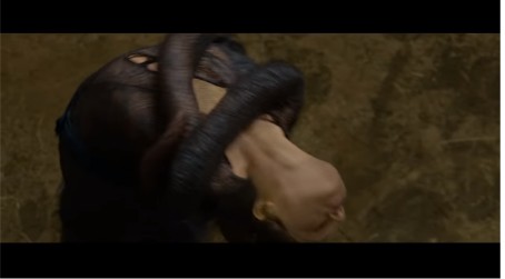 Eines der größten Harry Potter Geheimnisse wurde gelöst