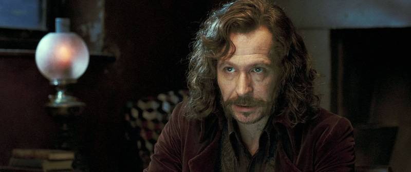 Sirius Black ist der Onkel von Harry Potter.