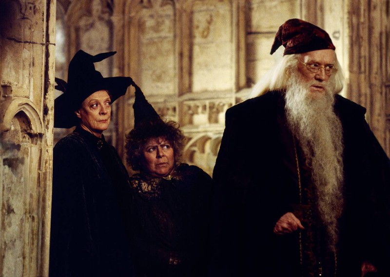 Bevor Dumbledore Schulleiter wurde, lehrte er Verwandlung.