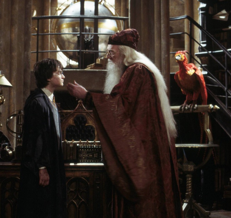 In "Harry Potter" konnte Dumbledore auch ohne Tarnumhang unsichtbar werden.