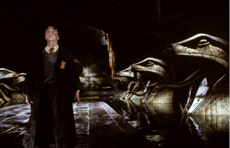Nicht nur Harry Potter konnte die Schlangensprache Parsen verstehen, sondern auch Dumbledore.