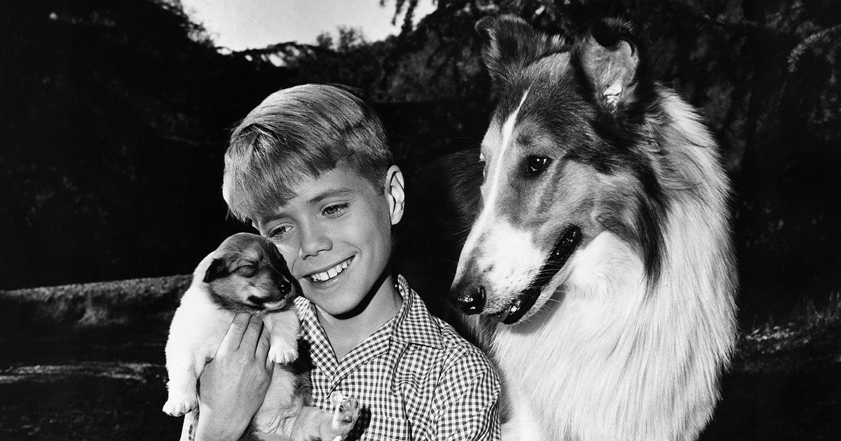 Erinnerst du dich an „Lassie“? Das wurde aus den Schauspielern