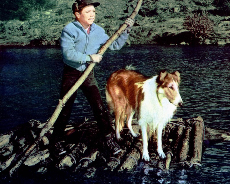 Die Lassie Filme sind aus den 1960er-Jahren