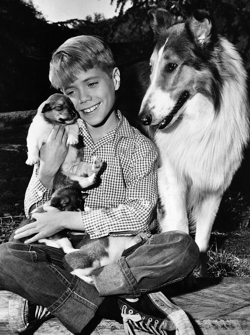 Lassie war ein absoluter Kultfilm