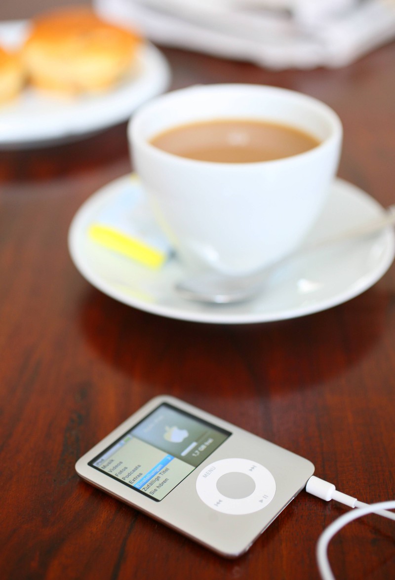 Der iPod Nano war 2010 ein essenzielles Gadget.