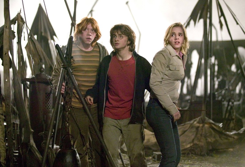 Harry Potter und seine Freunde müssen vor den Todessern fliehen.