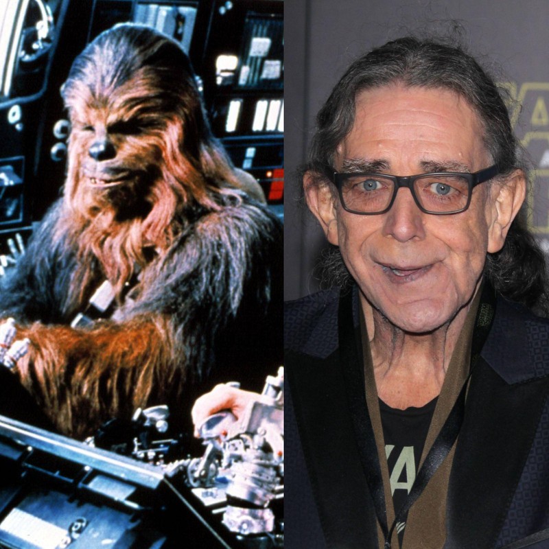 „Chewbacca ist eine beliebte Figur in den „Star Wars“- Filmen und wird von Peter Mayhew gespielt