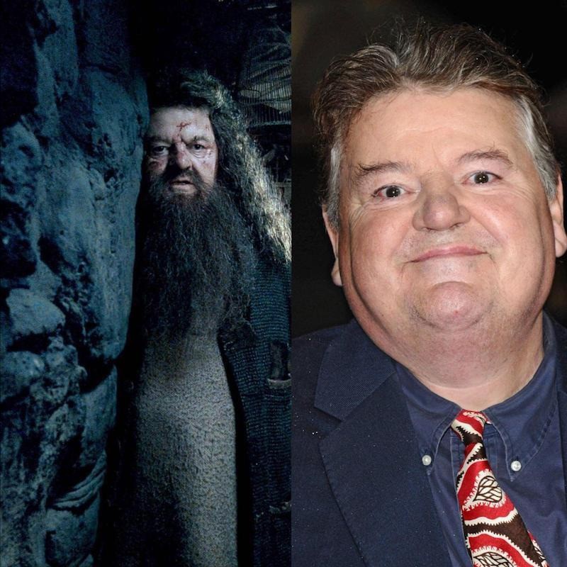 Hagrid ist wie Harrys zweite Familie.