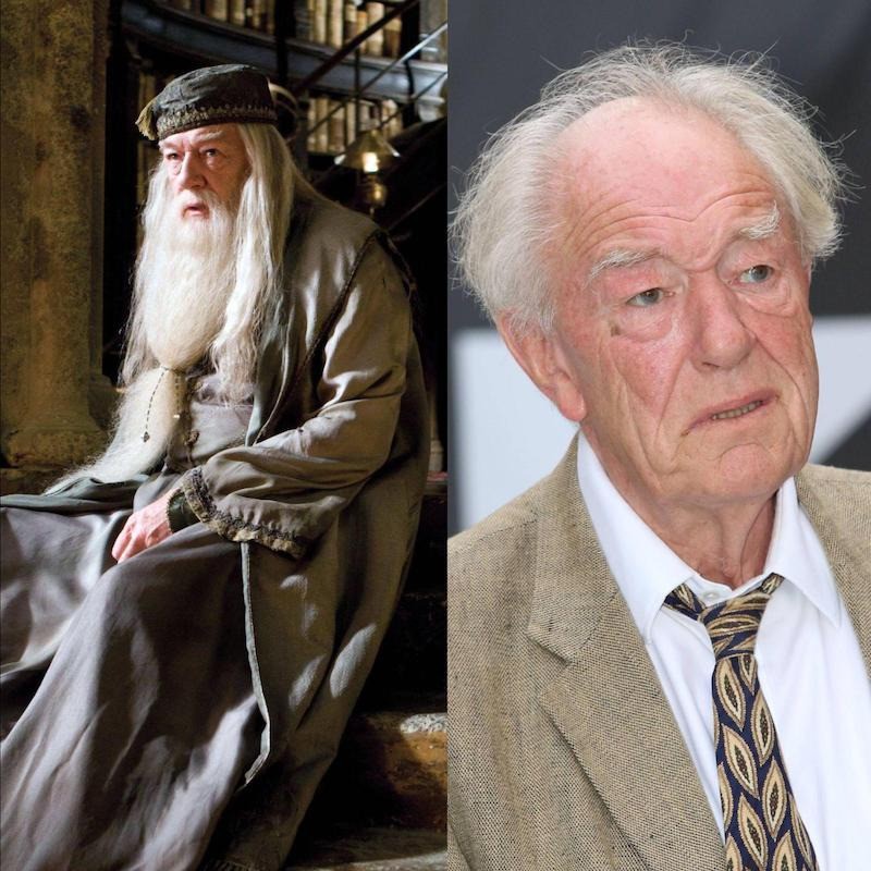 Professor Dumbledore wurde von zwei verschiedenen Schauspielern gespielt.