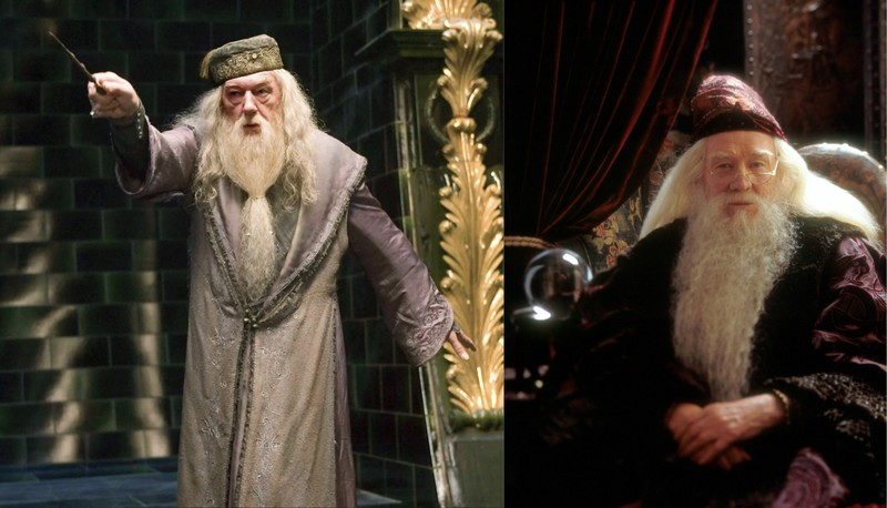 Richard Harris und Michael Gambon spielten Albus Dumbledore.