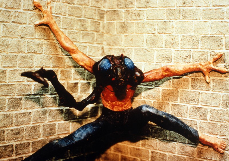 „Die Fliege“ hat eine Altersfreigabe von 18 Jahren erhalten.