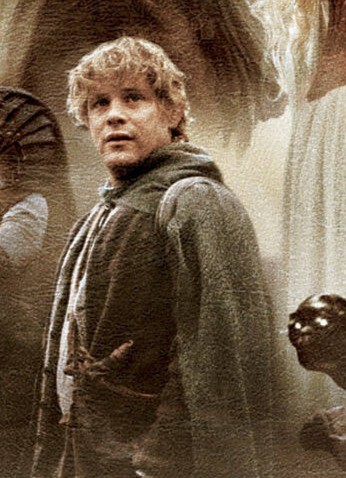 Im zweiten Teil der Trilogie „Herr der Ringe: Die zwei Türme“ zieht sich Sam eine blutende Wunde an der linken Stirn zu.