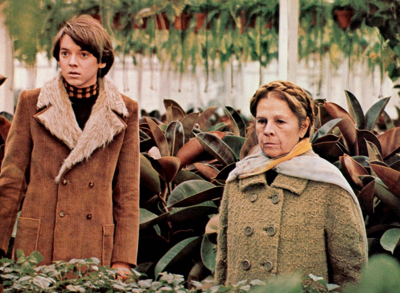 In Filmen wie „Harold und Maude“ liegt ein großer Altersunterschied zwischen den Darsteller*innen, die einander daten.