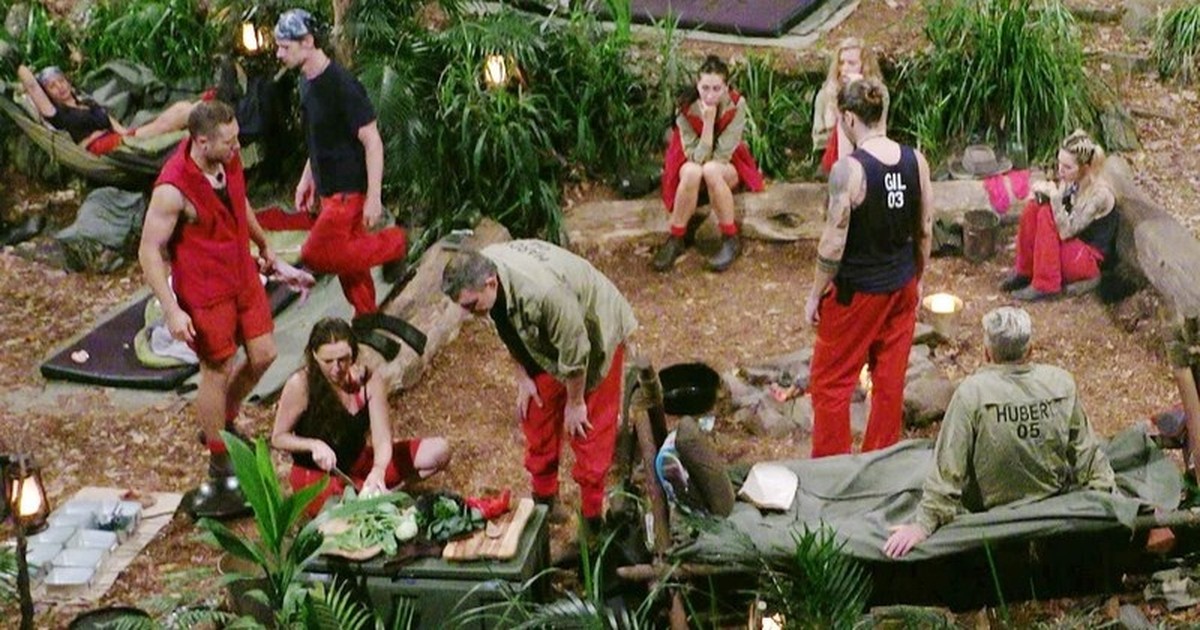 So viel haben die Dschungelcamp-Stars abgenommen