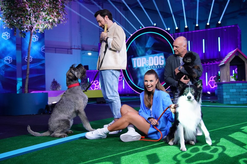 Trotz guter Quoten wird „Top Dog Germany“ von RTL vorerst abgesetzt.